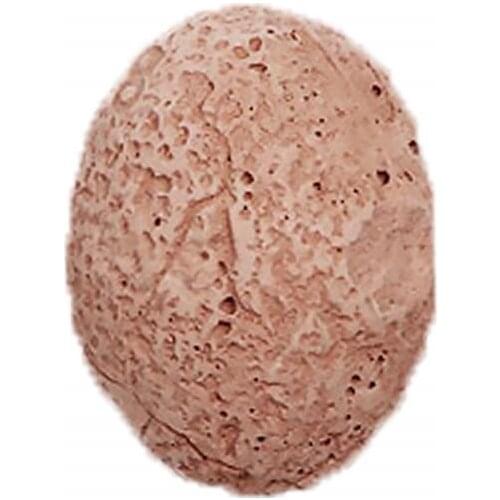 Kids Dinosaur Egg Model Diging Toy Nature Creative Learning Archaeology Educational Crafts Gifts