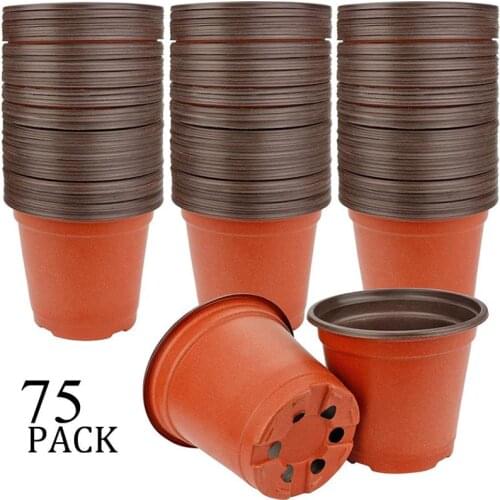 Gorrupe Seedling Pots