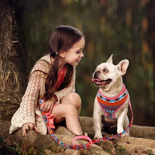 Dog Harness and Leash Set Ethnic Bulldog Harness Vest Puppy Small Medium Dogs Cats Harness leashes for Chihuahua Outdoor Walking