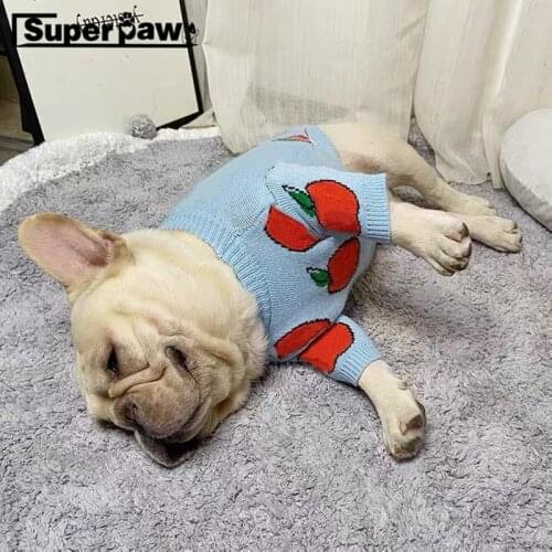 Fashion Pet Dog Cat Apple Sweater Jumper Clothes Winter Warm Puppy Hoodie for Small Medium Dogs Schnauzer Coat YHC64