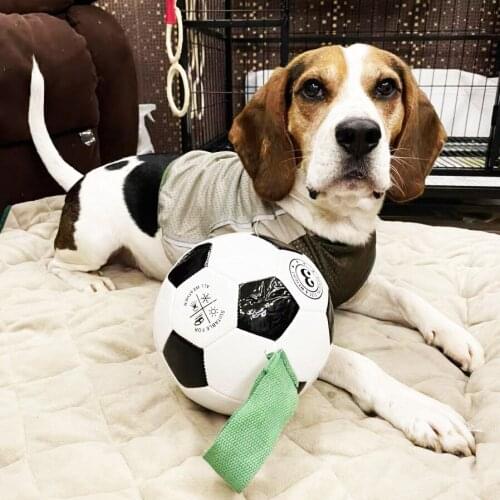 Pet supplies dog football shaped toy outdoor multifunctional interactive rope dog football training ball