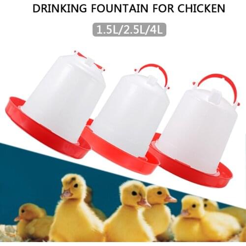 1pc Chicken Drinker Poultry Chick Hen Bantam Food Water Feeder Accessories Tools Feeder Cups For Poultry Supplies