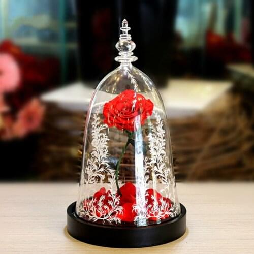 Fresh Preserved Rose Flower Beauty and the Beast Rose with Fallen Petals in a Glass Dome for Valentines Gifts Led Light