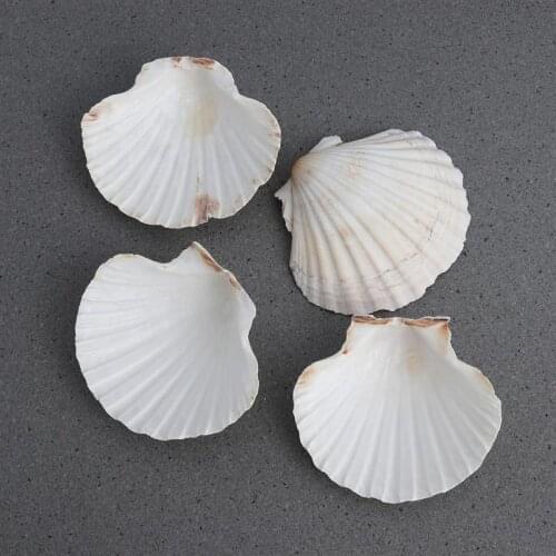 4pcs 9-14cm Mediterranean Style DIY Beach SeaShells Sea Natural Shells Shell Crafts Aquarium Fish Tank Decor