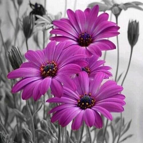 Latest New 3D DIY Digital Painting Resin Square Rhinestones Embroidery Pasted Cross Stitch Orchid Flower Series Diamond Painting