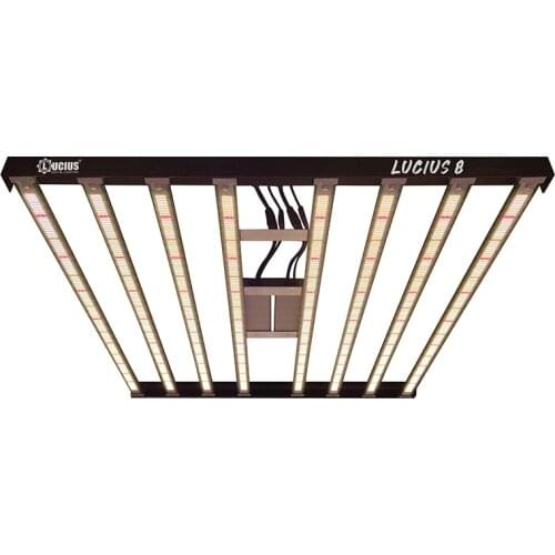 LUCIUS DIGITAL LIGHTING LED Plant Lamps