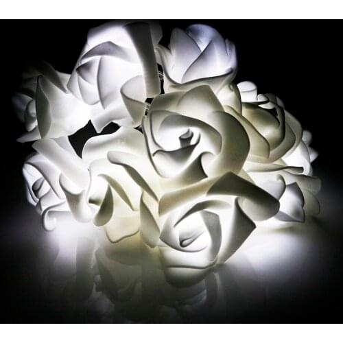 2pcs Holiday Lighting AC220V 250cm 10Leds Rose led String lights with EU plug for Party Garden Outdoor Christmas Decor Fairy