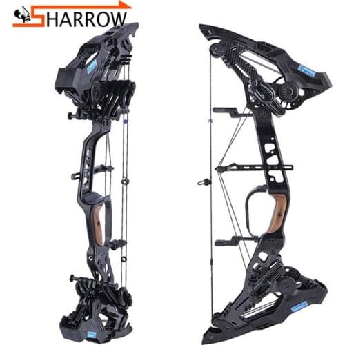 1set 21.5-60lbs Compound Bow Carbon Arrow Set Rubber Band Hunting Bow 460/330FPS Speed Arrow 8-10mm Steel Ball Shooting Archery