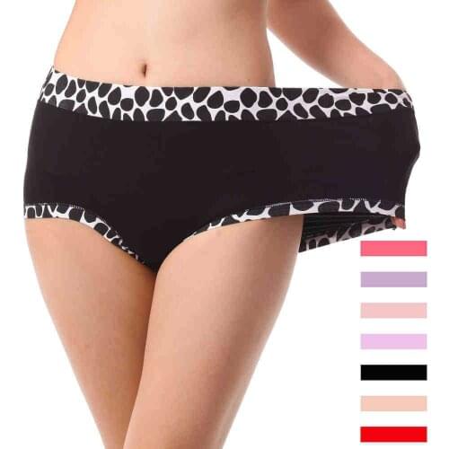 2Pcs/lot Bamboo Stone Pattern Underwears Women Panties Plus Size 6XL Sexy lingeries womens briefs