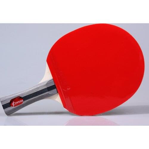 Ping Pong Paddles Table Tennis Rackets 2 Ping Pong Bats Long Handle Ping Pong Racket Set with 3 Balls