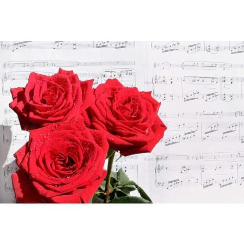 5d Diy Diamond Painting Cross Stitch Red Rose Rhinestones Icon kits Diamond embroidery Accessories Diamond mosaic Needlework