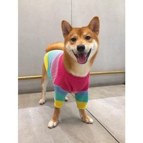 Puppy Rainbow Sweater Knitted Pet Cat Sweater Warm Dog Sweatshirt Dog Winter Clothing Kitten Puppy Sweater
