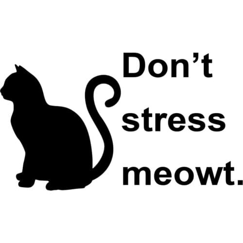 25*14cm Don't Stress Meowt Quote Car Sticker Cat Design Animal Theme Rear Windshield Decal Waterproof Decoration CL029