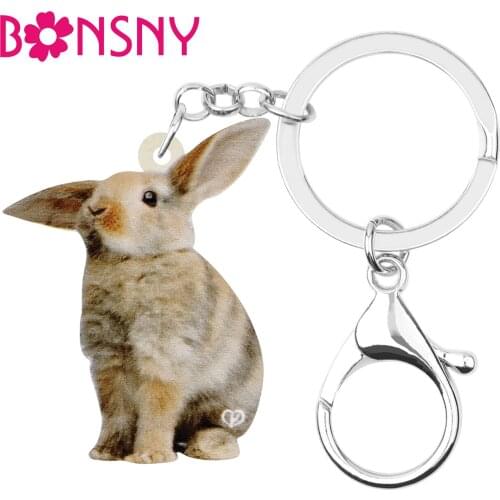 Bonsny Acrylic Brown Easter Hare Rabbit Bunny Keychains Keyring Animal Key Chain Jewelry For Women Girl Handbag Car Accessories
