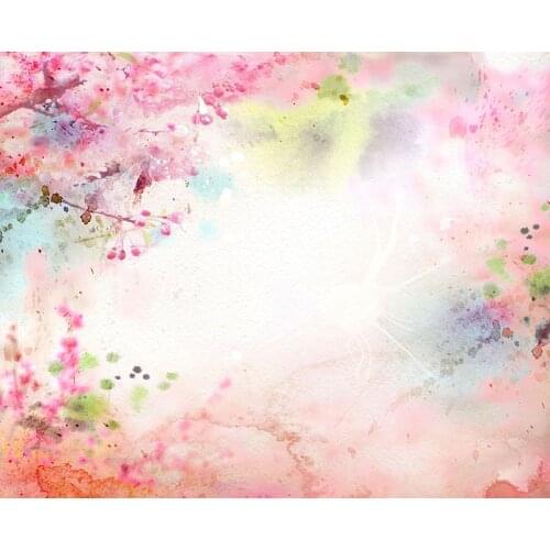 Painting picture background 2020 newborn photography vinyl birthday photo backdrop in photo studio accessories Photophone NB-035