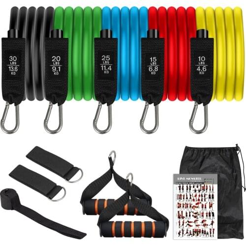 Resistance Bands Set Exercise Bands with Door Anchor Handles Carry Bag Legs Ankle Straps for Resistance Training, Home Workouts