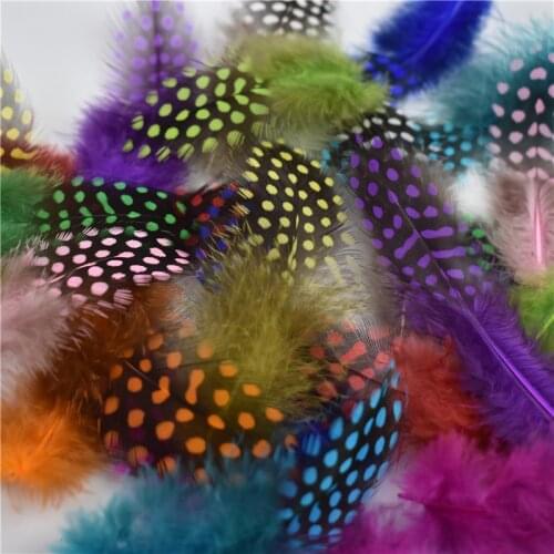 100Pcs/Lot Natural Dyed Guinea Fowl Feathers Pheasant Plumes for Crafts Chicken Colored Small Feather Decorative DIY Home Decor