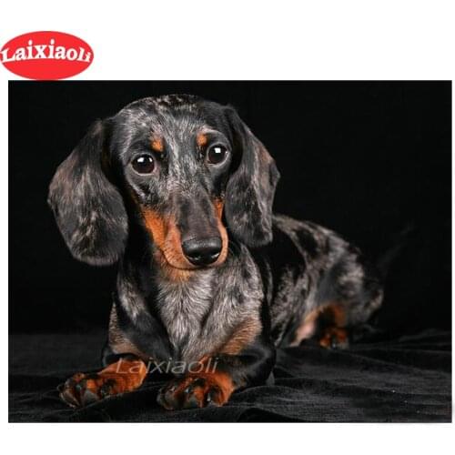 New diamond embroidery mosaic Dachshund dog diamond paintings full square round drill stitch cross cute puppy rhinestone decor