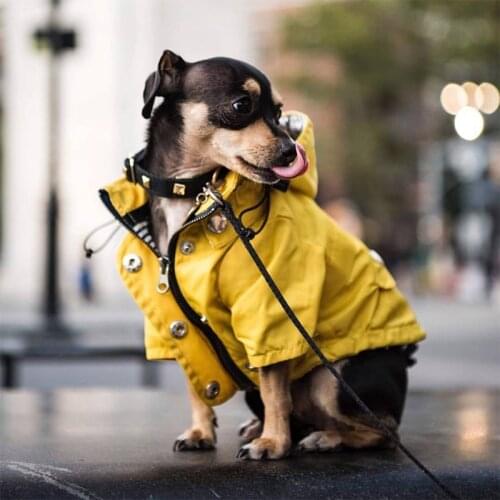 Dog Clothes For Small Dogs Coat Dog Jacket Outdoor Waterproof Pet Raincoat Pet Sport Hoodies French Bulldog Clothes Dog Coat