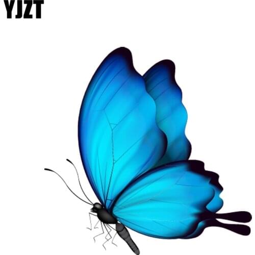 YJZT 10CM*10M Cute Decorative Butterfly Decal PVC Motorcycle Car Sticker 11-00652