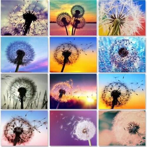 SDOYUNO 60x75cm Oil Paint By Numbers For Adult Dandelion DIY Painting By Numbers On Canvas Scenery Number Painting Home Decor