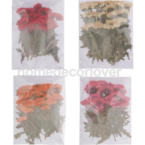 50pcs Pressed Real Dried Flowers Chrysanthemum for DIY Art Craft Card Making