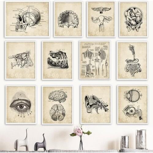 Wall Art Canvas Painting Anatomy Skeleton Nordic Posters And Prints Vintage Wall Pictures For Hospital Doctor Office Decor