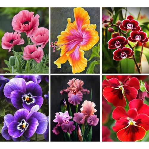 AZQSD Diamond Painting 5d Flower Cross Stitch Rhinestones Diamond Embroidery Wall Art Needlework Gift Handicrafts Home Decor