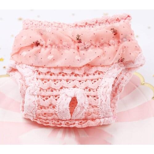 S/M/L Sweet Lace Pet Dog Hysiological Pants Summer Breathable Dog Diaper Sanitary Panties Washable Female Dog Panties Shorts Hot