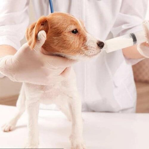 150/100/60/5/2ml Reusable Big Large Hydroponics Plastic Nutrient Sterile Health Measuring Syringe Dog or Cat Feeding Accessories