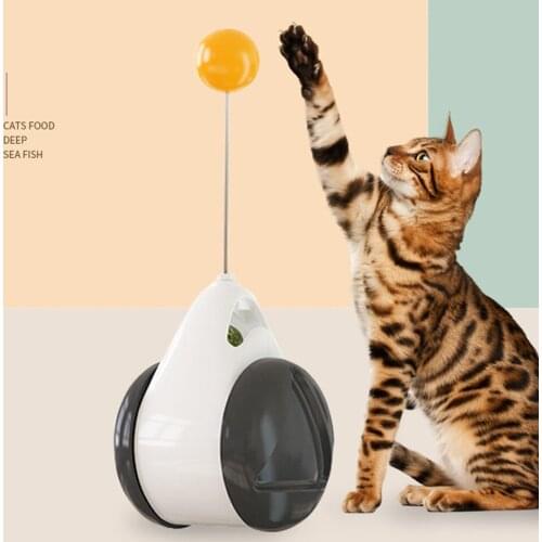 Pet Dog Cat Toy Tumbler With Catnip For Kitten Playing Training Entertainment IQ Improvement High Quality Pet Products Supplies