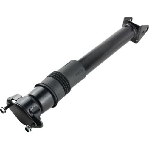 AP02 Rear Air Suspension Strut w/o ADS 2513200731 For Mercedes-Benz R-Class W251 V251