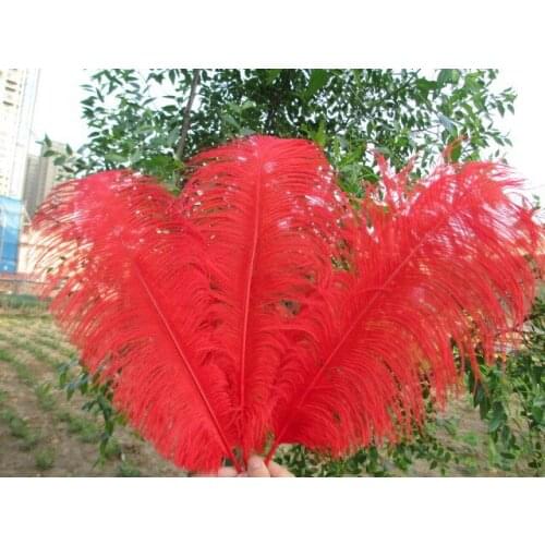 Wholesale 50pcs / lot high quality ostrich feathers 22-24 inches / 55-60 cm red feather stage decoration celebration
