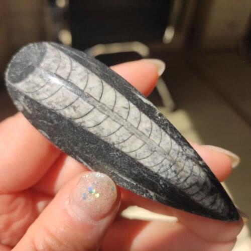 1pcs 7-10cm Natural right Angle fossil Crystal Specimen Rare Polished Collectible natural stones and minerals