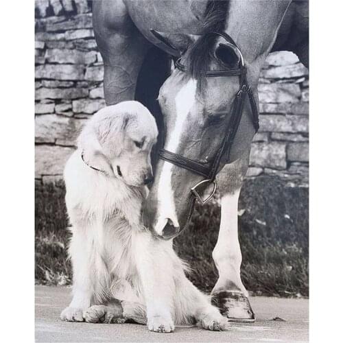 Dpsupr Diamond Painting 5D Full Square/Round Drill Daimond Rhinestone Embroidery Painting Dog Horse Cross Stitch Mosaic Picture