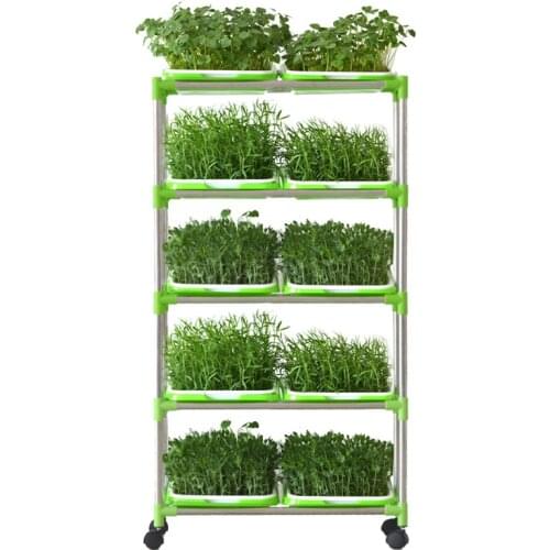 Hydroponic Wheatgrass Growing Trays 5 Layers Wheat Grass Grower Seeding Nursery Pot Tray Stand Plant Pot Base Stand