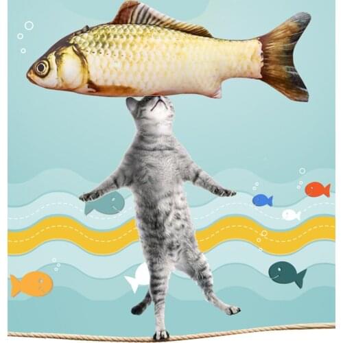 2020 Cat Toys Carp Koi Fish Shaped PP Cotton Funny Plush Exercise Scratch Play Toys for Small Cat Pets Toy Product Catnip
