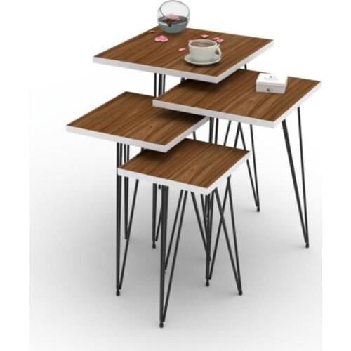 Modern Larose Zigon Coffee table Signage Mdfbyz 2'li coffe table