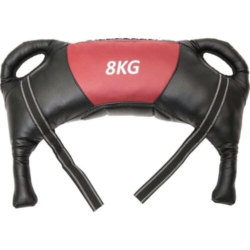 8KG Fitness Bulgarian Sand Bag, Functional Power Energy Package, Training Sports For Boxing Punching Workout