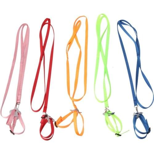 Lizard Iguana Reptile Traction Rope Turtle Squirrel Amphibian Small Animal Hamster Tortoise Hedgehog Leash 5 Color Optical 2 Pcs