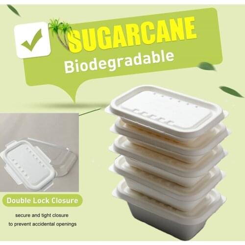 25 Sets count Sugarcane Bagasse Compostable Container with 2lids Salad Sushi Lunch DisposableTakeout Box Outdoor Picnic