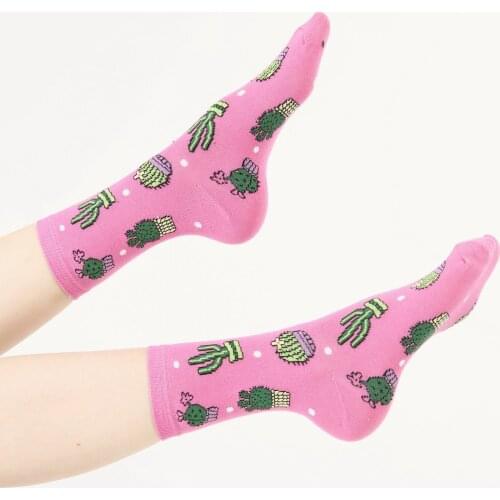 3 pair from turkey high quality cotton happy socks man Mens summer lot pack wholesale socs design pink green cactus plant herb