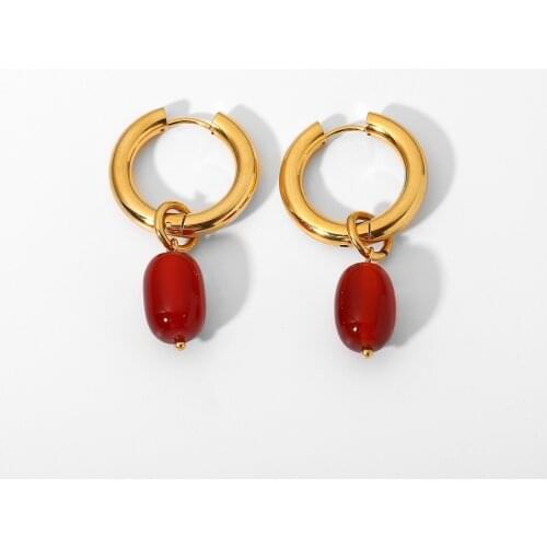 Natural Agate Stone Dangle Charm Earrings Jewelry CARNELIAN CRYSTAL Charm Stainless Steel Huggies Hoop Earrings For Women