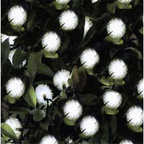 20 LED Solar Light Solar Lamp Power LED Ball String Light Waterproof Fairy Lights Solar Garlands Garden Christmas Outdoor Decor