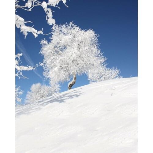 5x7ft Winter Snow Tree Blue Sky Photography Backdrops Photo Props Studio Background