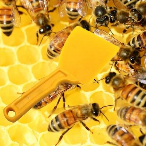 8PCS Wholesale Bee Nest Honey Uncapping Fork Plastic Scraper Soft Blade Cutter Bees Imker Cutting Tools Supplies Equipment
