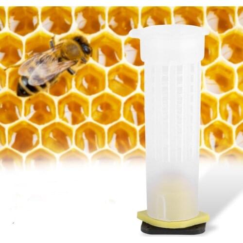 50/70/100Pcs bee queen cages plastic protective cover cage cell box cup rearing new bees king tools beekeeper beekeeping set