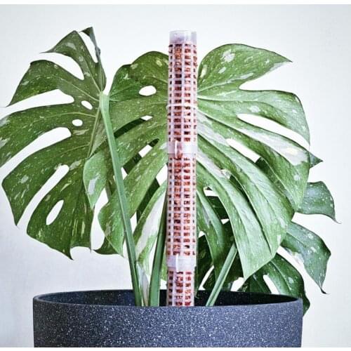 2021 New Climbing Plant Pole Sphagnum Moss Sticks Plant Growing Support Water-retaining Fertilizer-rich Coconut Palm Stick