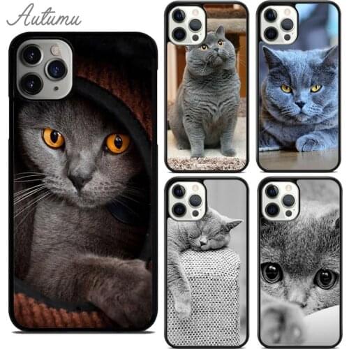 Grey British Shorthair Cat Phone Case for iPhone 11 12 Pro Max mini X XR XS SE 2020 5 6S 7 8 Plus Samsung Galaxy S8 S9 S10 Cover