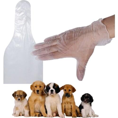1set Pet dog canine latex no powder gloves and semen sperm collect collection bags artificial insemination device disposable